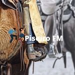 Ouvir a estação Piseiro FM