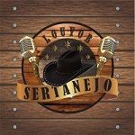 Ouvir a estação Radio Louvor Sertanejo