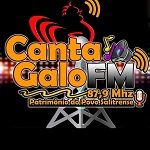 Ouvir a estação Rádio Canta Galo FM